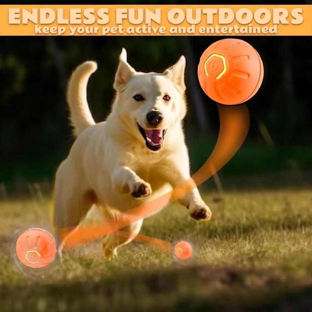 Smart Interactive Pet Ball