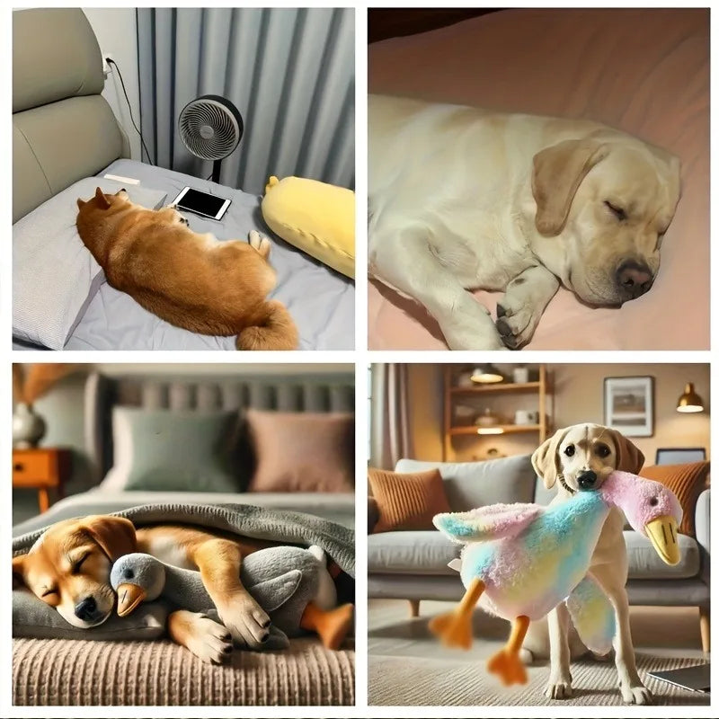 QuackBuddy™ Plush Pet Toy 🦆🐾