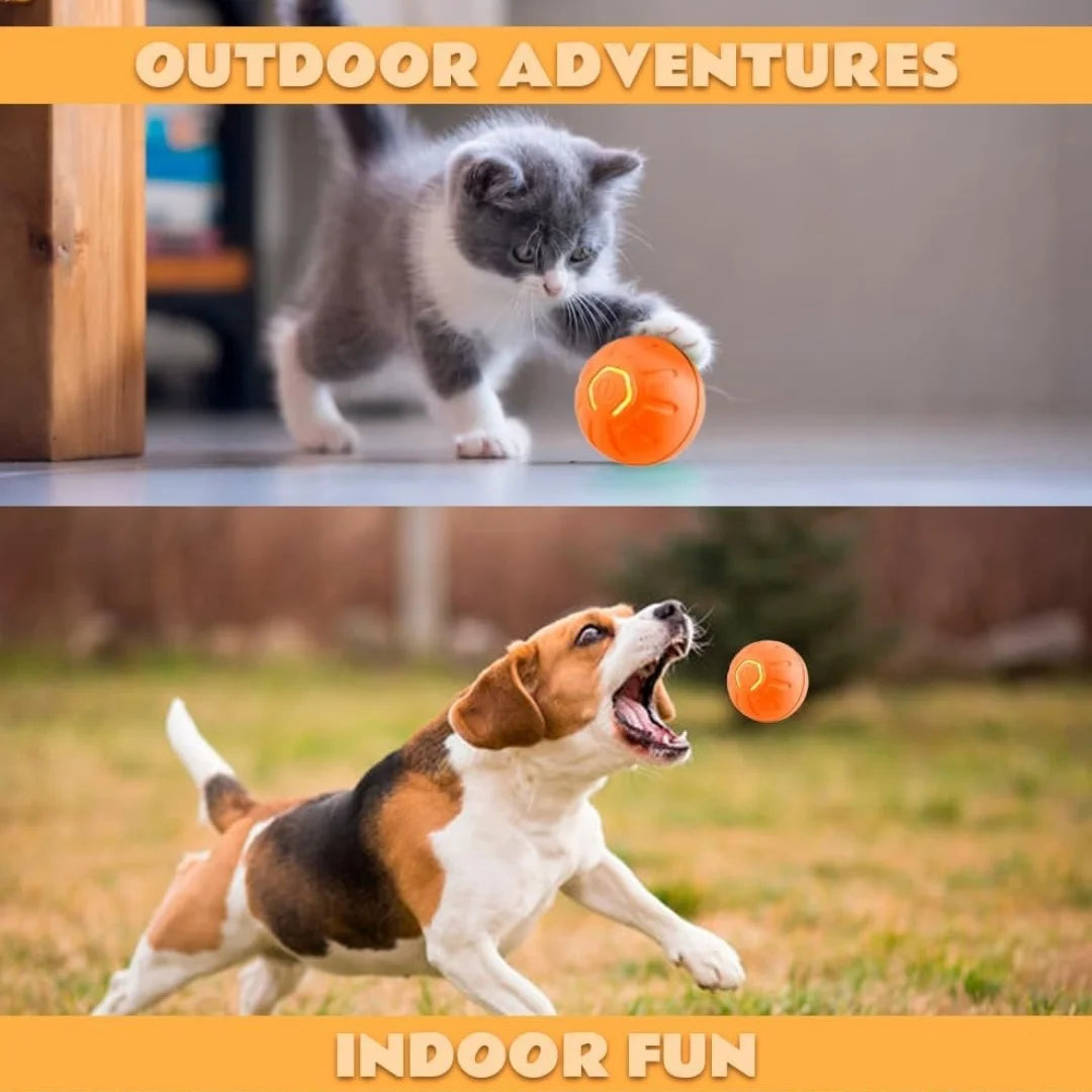 Smart Interactive Pet Ball