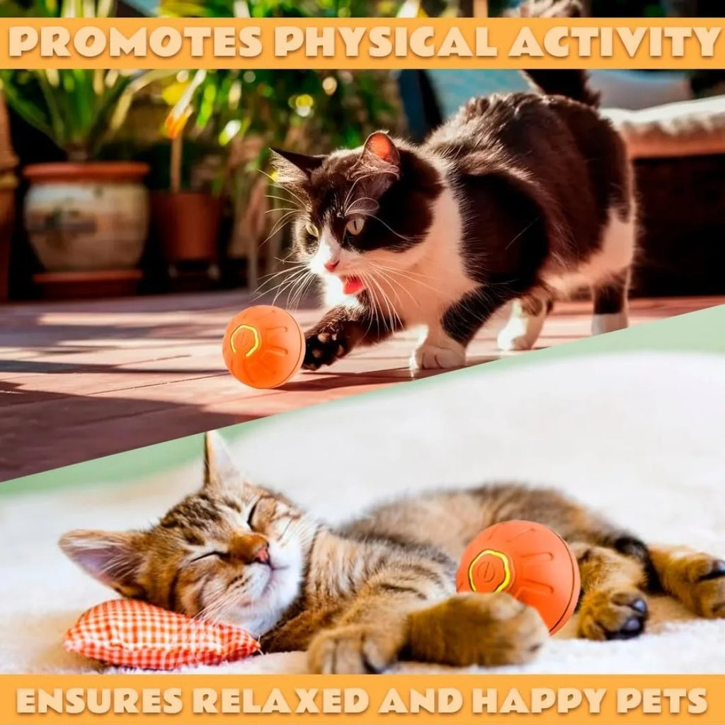 Smart Interactive Pet Ball