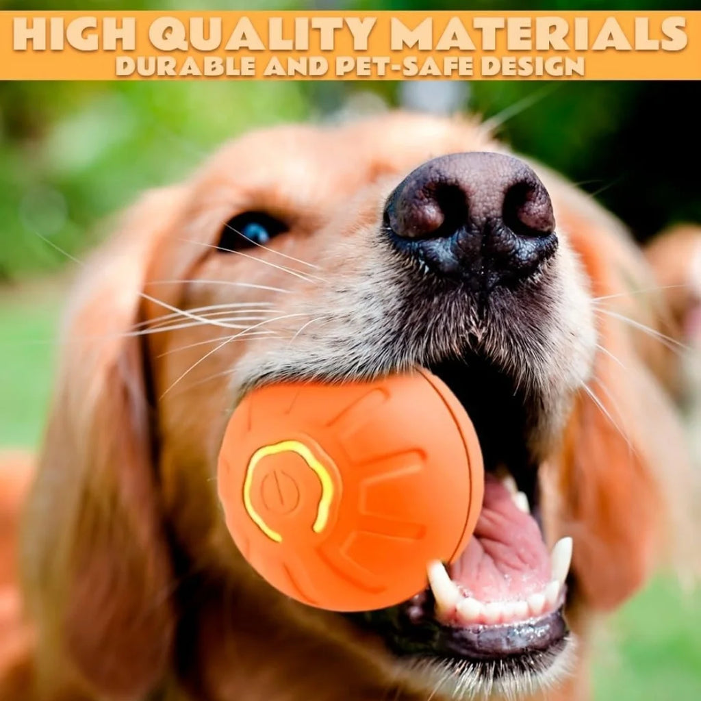 Smart Interactive Pet Ball